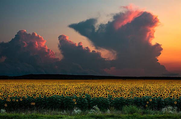 Landscape Art Print featuring the photograph Before Sunset by Dmitry Nesvetaylov