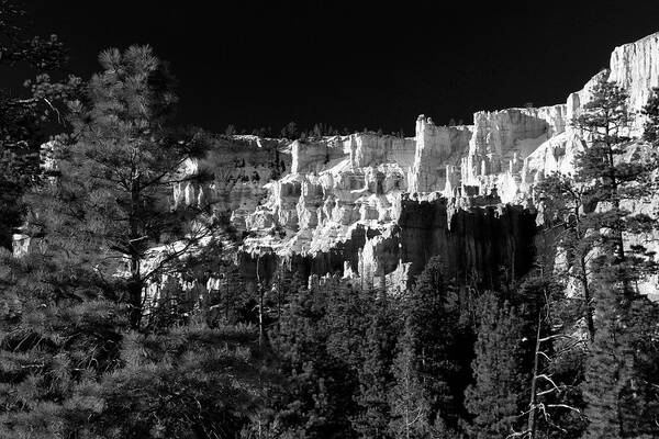 Bryce Canyon National Park Art Print featuring the photograph Below The Rim Bryce Canyon by Ed Riche