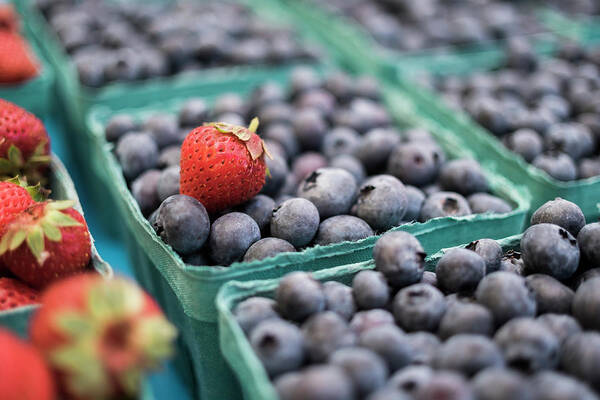 Food Art Print featuring the photograph Berries by Nicole Young