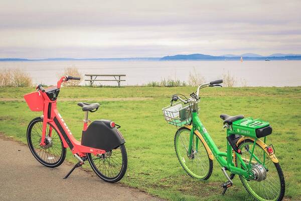 Bicycles Art Print featuring the photograph Bicycles by Anamar Pictures