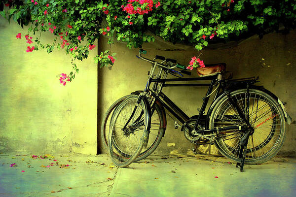 Tranquility Art Print featuring the photograph Bicycles by Atul Tater