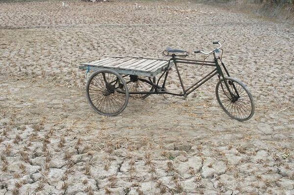Tranquility Art Print featuring the photograph Bike On Dry Paddy Field by A K Kaarsberg