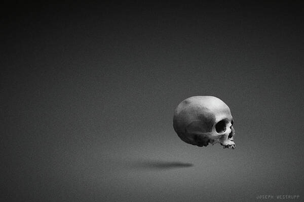 Surreal Skull Art Print featuring the photograph Black Shell by Joseph Westrupp