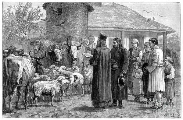 Bulgaria Art Print featuring the drawing Blessing Domestic Animals, Bulgaria by Print Collector