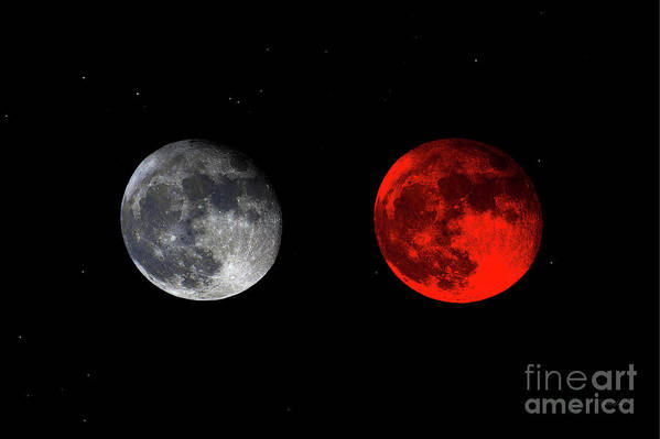 Bloodred Wolf Moon Art Print featuring the photograph Blood Red Wolf Supermoon Eclipse Series 873e by Ricardos Creations