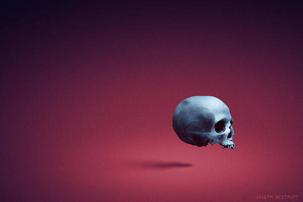 Surreal Skull Art Print featuring the photograph Blue Shell by Joseph Westrupp