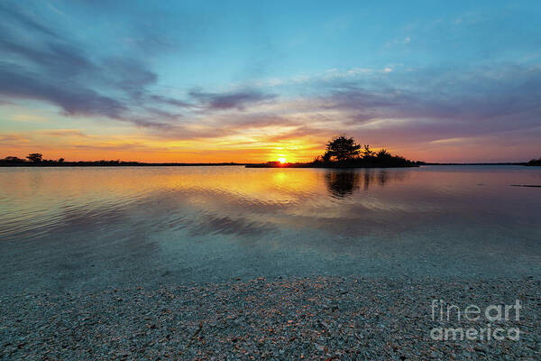 Sunset Art Print featuring the photograph Blue Shimmer by Michael Ver Sprill