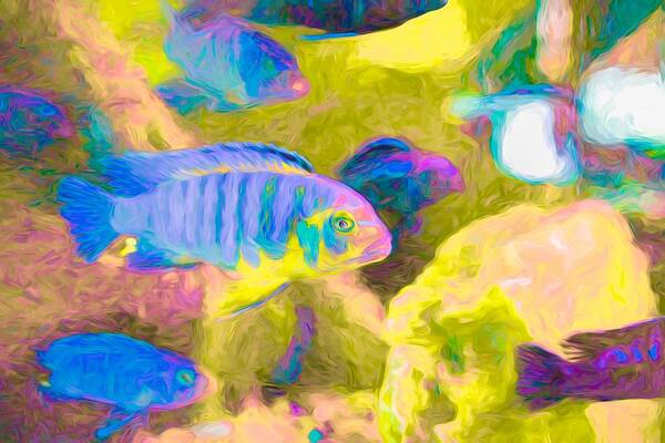African Cichlid Art Print featuring the digital art Blue Zebra Lake Malawi Neon by Don Northup