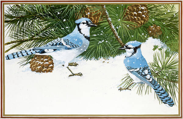 Bluejays Art Print featuring the painting Bluejays by William Vanderdasson