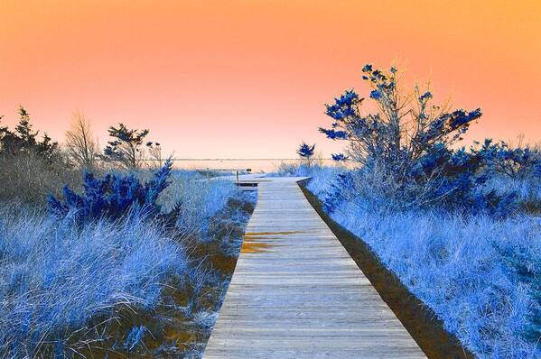 Boardwalk Art Print featuring the mixed media Boardwalk to the Bay by Stacie Siemsen