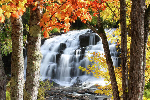Scenics Art Print featuring the photograph Bond Falls In The Fall by Photos By Michael Crowley