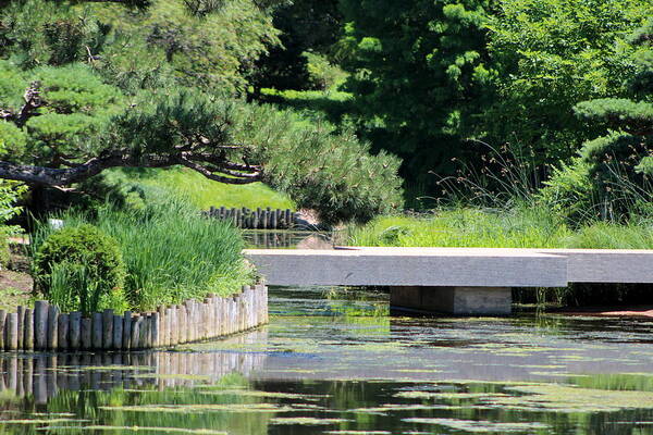 Platform Bridge Art Print featuring the photograph Bridge Over Pond in Japanese Garden by Colleen Cornelius
