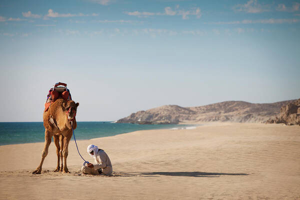 Mature Adult Art Print featuring the photograph Camel And Guide Sit On White Sandy by Justin Lewis