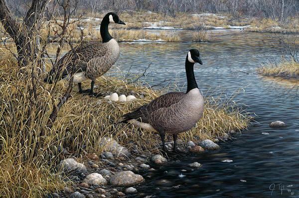 Two Geese Standing On Either Side Of A Nest Of Eggs Art Print featuring the painting Canadian Pair by Jeff Tift
