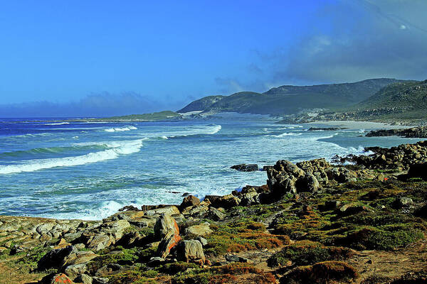 Cape Of Good Hope Art Print featuring the photograph Cape of Good Hope by Richard Krebs