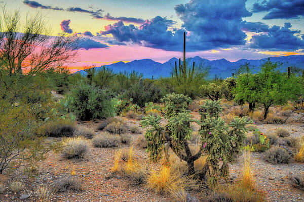 Southwest Art Print featuring the photograph Catalina Mountains and Sonoran Desert Twilight by Chance Kafka