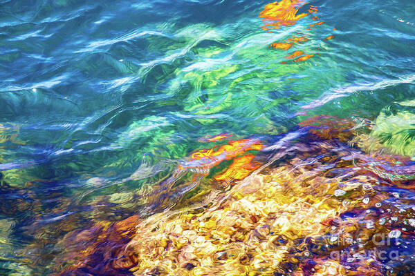 Catalina Art Print featuring the photograph Catalina Shore with Garibaldi Reflections by Roslyn Wilkins
