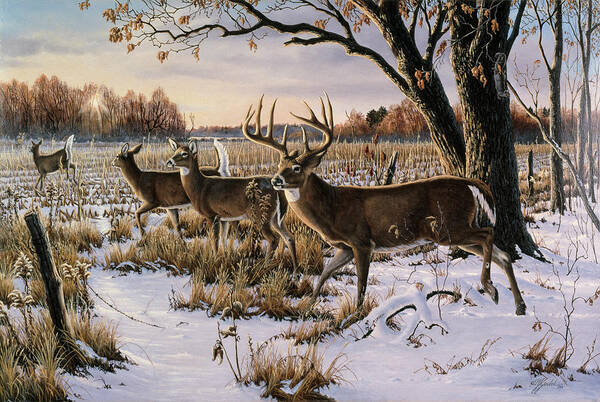 Cautious Crossing - Whitetails Art Print featuring the painting Cautious Crossing - Whitetails by Wilhelm Goebel