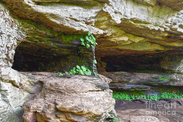 Tennessee Art Print featuring the photograph Caves In A Cliff by Phil Perkins