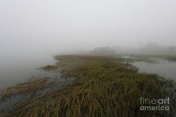 Fog Art Print featuring the photograph Charleston Fog - Wando River by Dale Powell