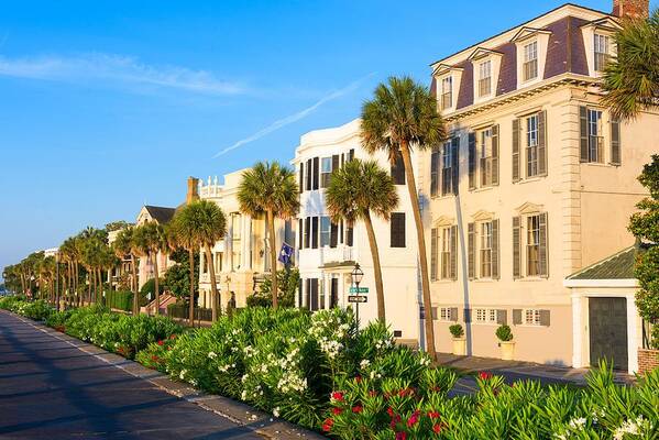 Landscape Art Print featuring the photograph Charleston, South Carolina, Usa Homes by Sean Pavone