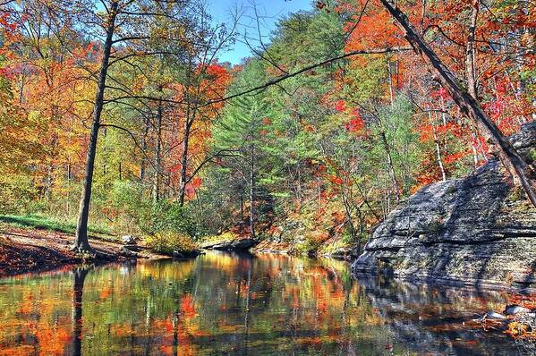 Fall Art Print featuring the photograph Cherokee Lagoon by Randall Dill