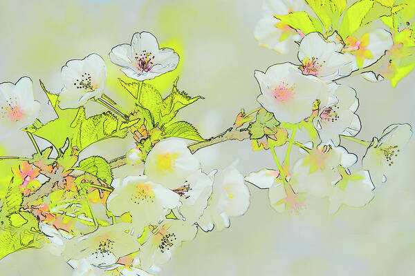 Flower Art Print featuring the photograph Cherry Blossoms by Minnie Gallman