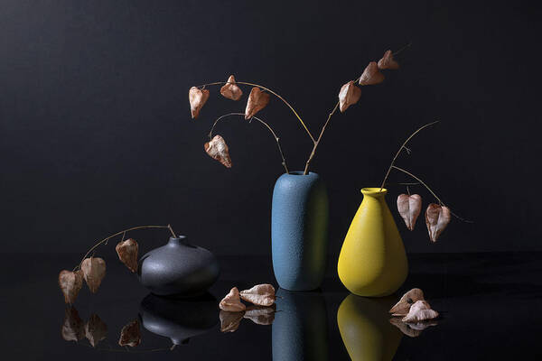 Still Life Art Print featuring the photograph Chinese Lantern by Ming Chen