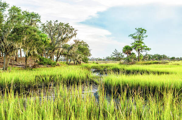 Marsh Art Print featuring the photograph Chisolm Island - Marsh at Low Tide by Scott Hansen