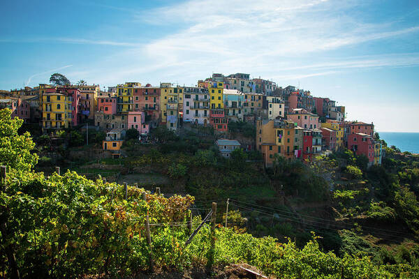 Italy Art Print featuring the photograph Cinque Terre by Raf Winterpacht