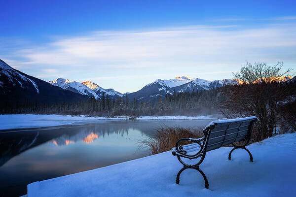 Alberta Art Print featuring the photograph Cold Rest by Thomas Nay