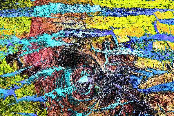 Colorful Bark 11 Art Print featuring the photograph Colorful Bark 11 by Anita Vincze