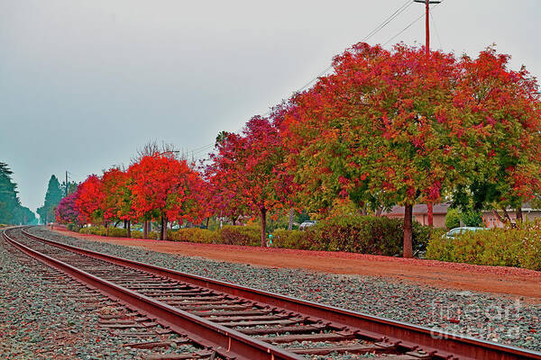 Fall Art Print featuring the photograph Colorful Fall along the Railroad, Cupertino by Amazing Action Photo Video