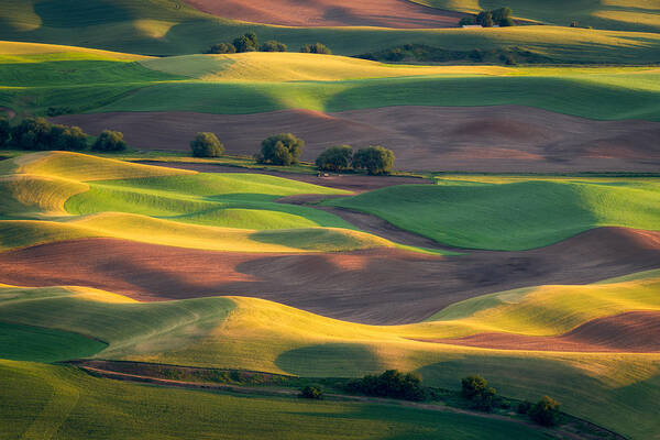 Palouse Art Print featuring the photograph Colorful Palouse by Gerald Macua