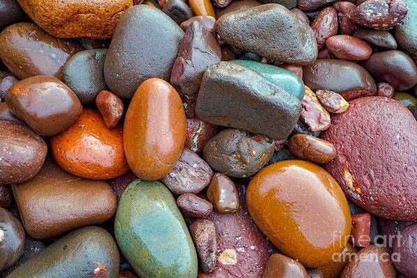 Stone Art Print featuring the photograph Colorful Wet Stones by Susan Rydberg