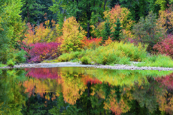 Outdoor; Fall; Colors; North Cascade; Water; Reflection; Rocks; North Cascade Highway Art Print featuring the digital art Colorful world on Cascade Meadow by Michael Lee