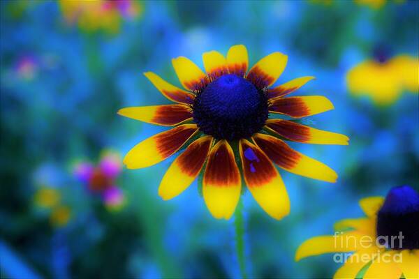Flowers Art Print featuring the photograph Colors Match Me by Merle Grenz