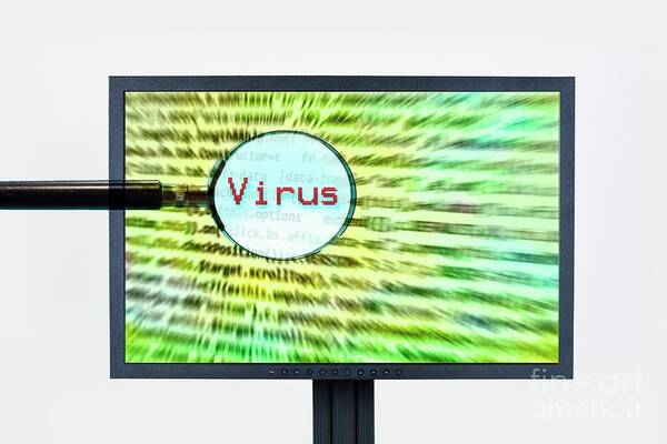 Indoors Art Print featuring the photograph Computer Virus by Cristina Pedrazzini/science Photo Library