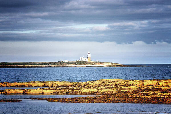 Coquet Art Print featuring the photograph Coquet Island by Jeff Townsend