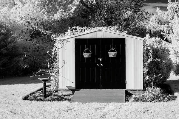 Shed Art Print featuring the photograph Country Shed by Susan Candelario
