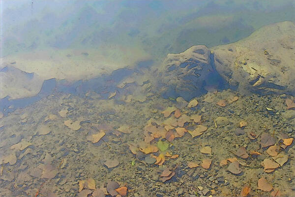 Under Art Print featuring the photograph Creek Bed by Robert Bissett