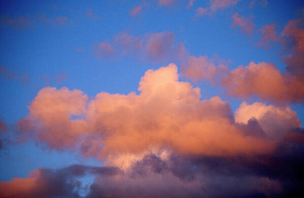 Tranquility Art Print featuring the photograph Cumulus Clouds In Sky At Sunset by Andrew Holt