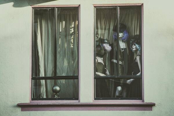 Windows Art Print featuring the photograph Curious ladies by Fiorenza M J Panke