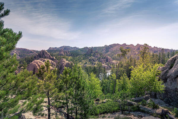 Custer Park Art Print featuring the photograph Custer Park by Chris Spencer