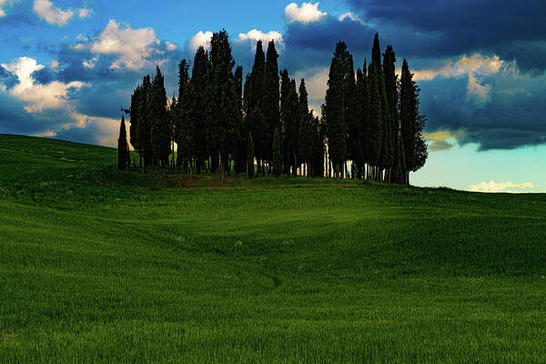 Tuscany Art Print featuring the photograph Cypress Trees by Chris Lord