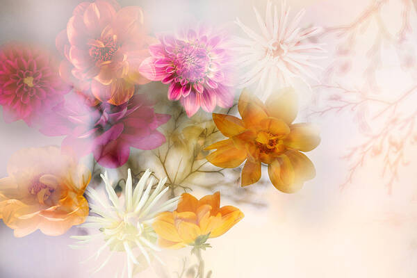 Floral Art Print featuring the photograph Dahlias by Ludmila Shumilova