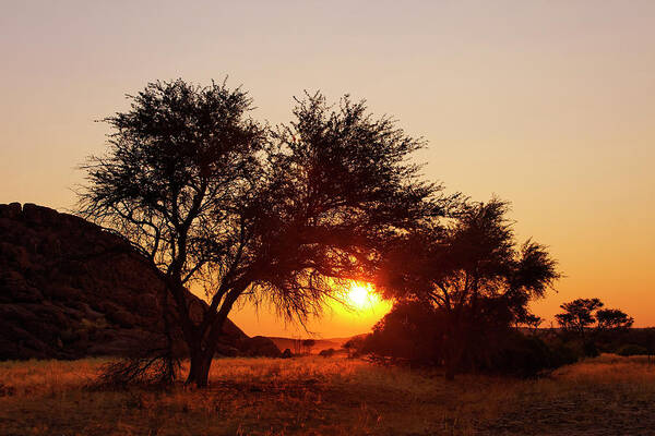 Scenics Art Print featuring the photograph Damaraland Landscape At Sunset - Namibia by Jlr