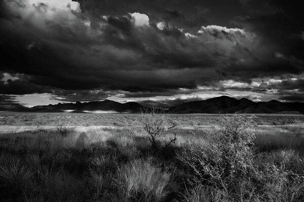 Arizona Art Print featuring the photograph Arizona Desert Black and White by Chance Kafka