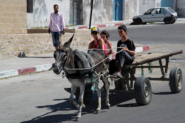 Donkey Art Print featuring the photograph Donkey Ride by Alexander Kiyashko