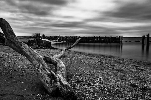 Sandy Hook Art Print featuring the photograph Driftwood by Kevin Plant